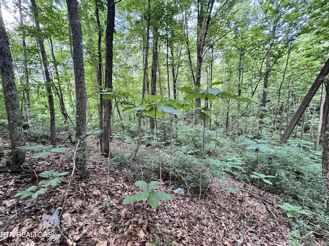 E Loomis Rd, Jamestown, TN 38556