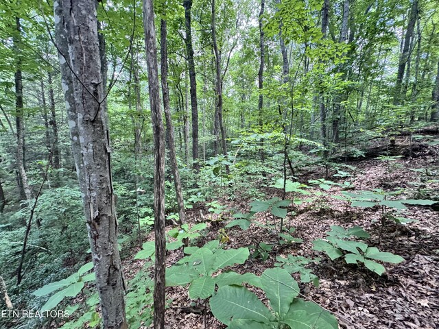 E Loomis Rd, Jamestown, TN 38556