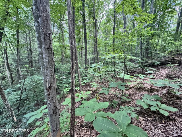 E Loomis Rd, Jamestown, TN 38556