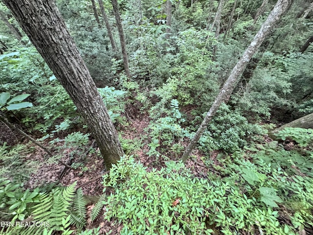 E Loomis Rd, Jamestown, TN 38556
