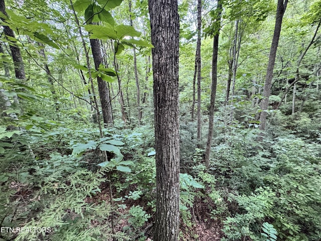 E Loomis Rd, Jamestown, TN 38556