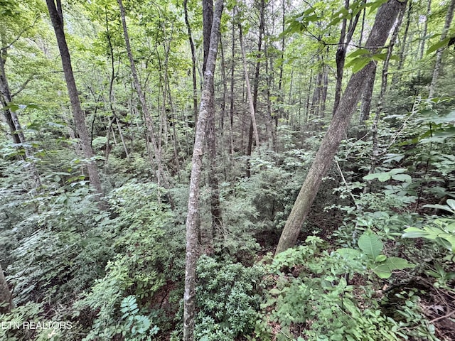 E Loomis Rd, Jamestown, TN 38556
