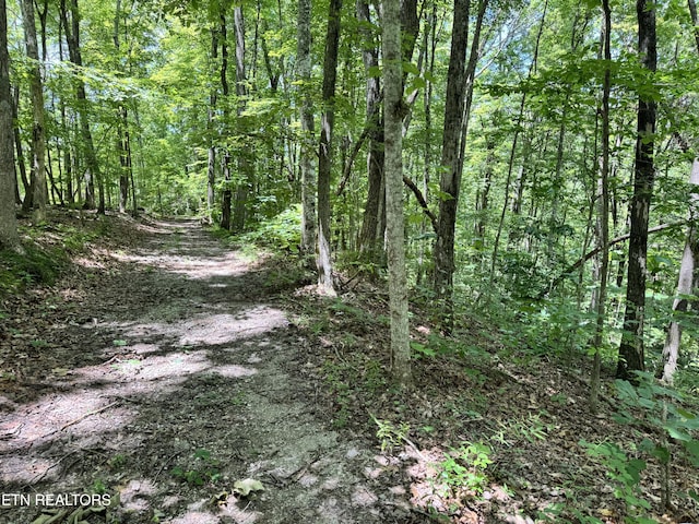 E Loomis Rd, Jamestown, TN 38556
