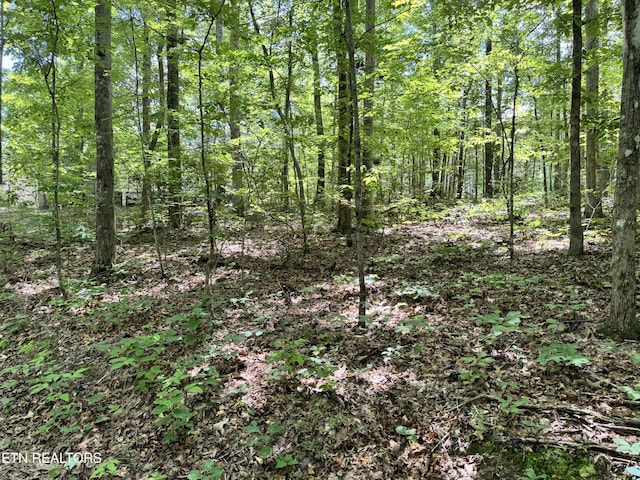 E Loomis Rd, Jamestown, TN 38556