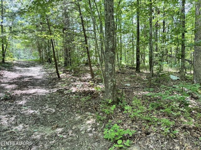 E Loomis Rd, Jamestown, TN 38556