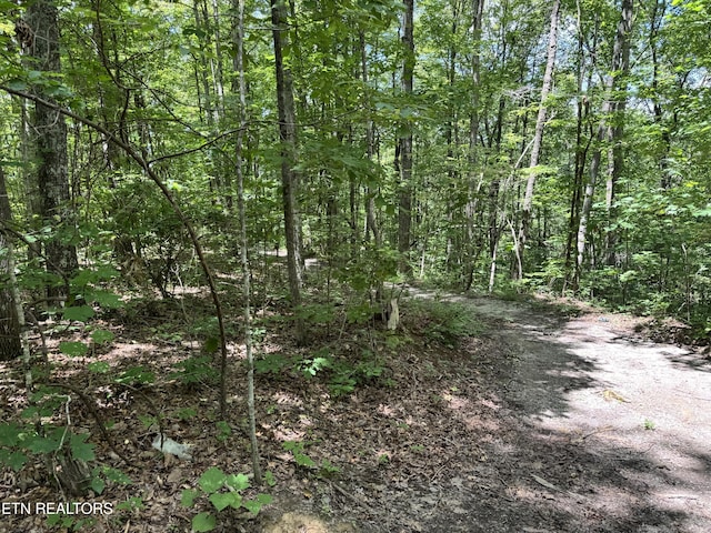 E Loomis Rd, Jamestown, TN 38556