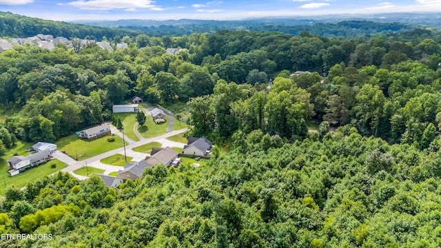 3031 Bakertown Rd, Knoxville, TN 37931 - photo 36