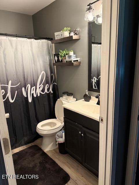 122 Regan Ln, Lafollette, TN 37766 - bathroom with vanity, wood finished floors, and a shower with shower curtain