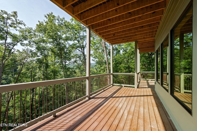 3047 Redtail Rd, Sevierville, TN 37862 - photo 46