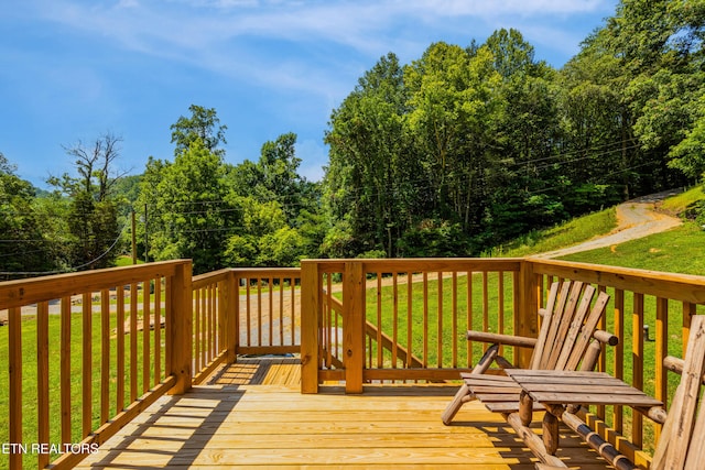 830 Hembree Hollow Rd, Townsend, TN 37882 - photo 24
