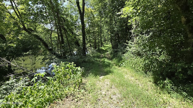 4245 Cave Springs Rd, Tazewell, TN 37879