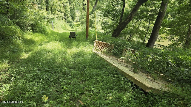 4245 Cave Springs Rd, Tazewell, TN 37879