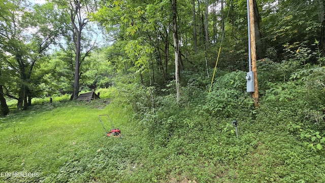 4245 Cave Springs Rd, Tazewell, TN 37879