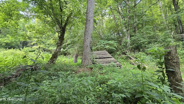 4245 Cave Springs Rd, Tazewell, TN 37879