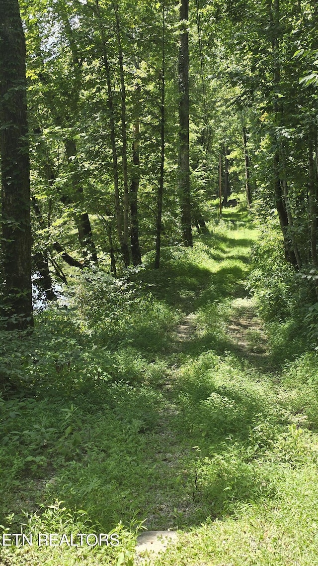 4245 Cave Springs Rd, Tazewell, TN 37879