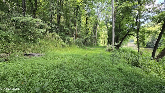 4245 Cave Springs Rd, Tazewell, TN 37879