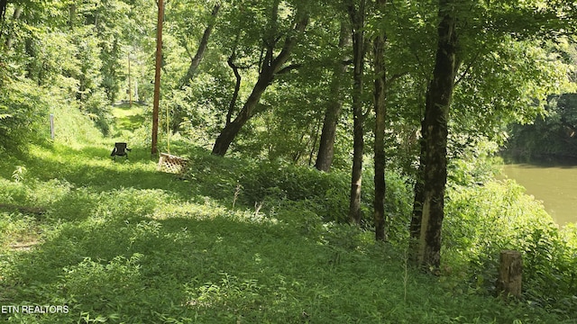 4245 Cave Springs Rd, Tazewell, TN 37879