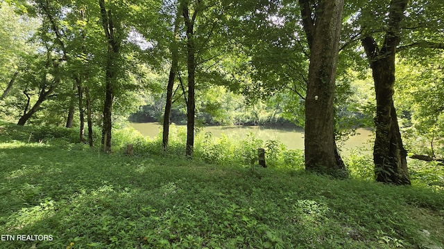 4245 Cave Springs Rd, Tazewell, TN 37879