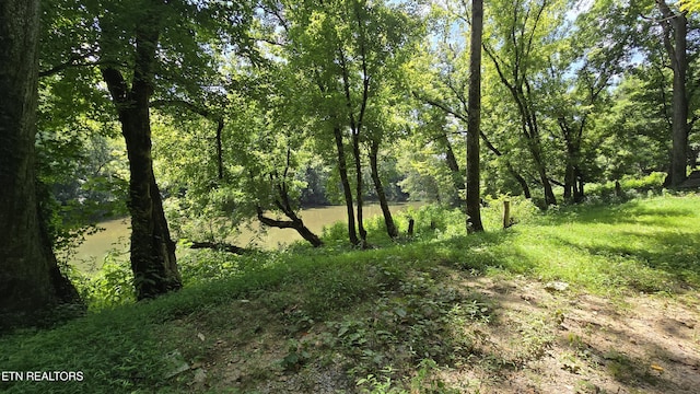4245 Cave Springs Rd, Tazewell, TN 37879