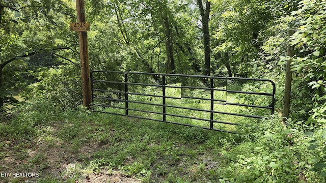 4245 Cave Springs Rd, Tazewell, TN 37879