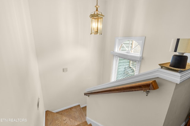 1425 Secretariat Blvd, Knoxville, TN 37931 - photo 17