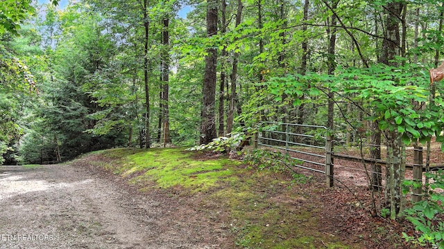 427 Cherokee Ln, Jamestown, TN 38556 - photo 31