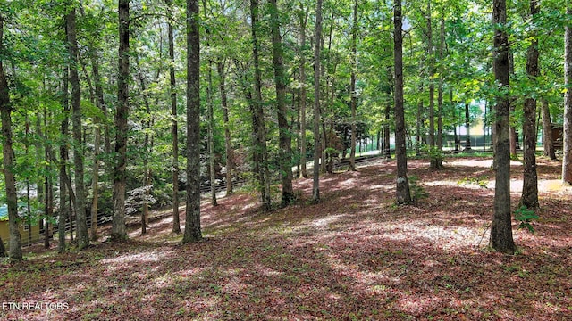 427 Cherokee Ln, Jamestown, TN 38556 - photo 32