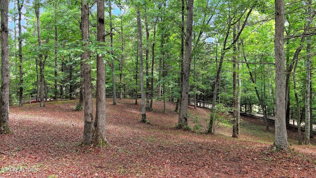 427 Cherokee Ln, Jamestown, TN 38556 - photo 33