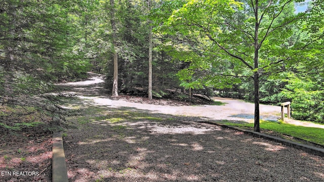 427 Cherokee Ln, Jamestown, TN 38556 - photo 36