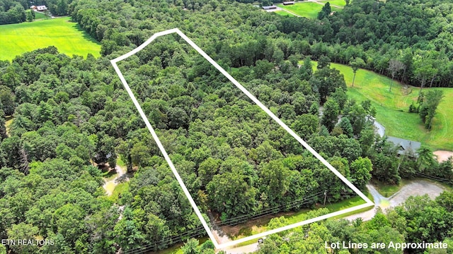 427 Cherokee Ln, Jamestown, TN 38556 - photo 38