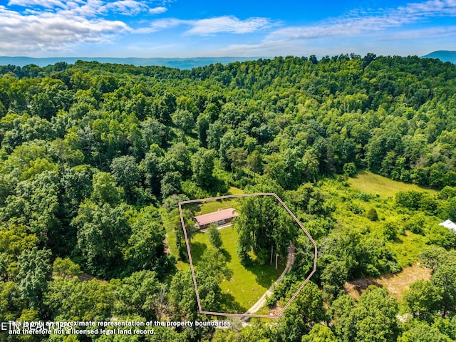 221 Greer Ln, Tazewell, TN 37879 - aerial view of property and surrounding area featuring a heavily wooded area and property boundaries highlighted