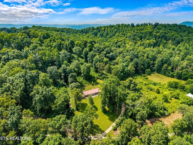 221 Greer Ln, Tazewell, TN 37879 - aerial view of a forest