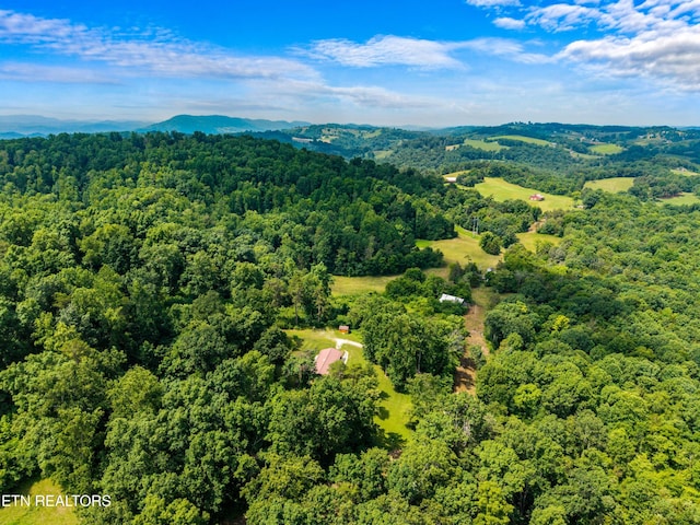 221 Greer Ln, Tazewell, TN 37879 - bird's eye view of a forest and a mountainous background