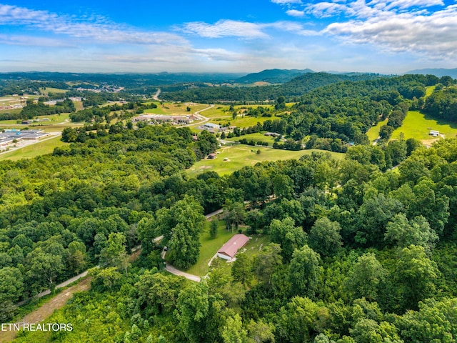 221 Greer Ln, Tazewell, TN 37879 - view of property location with a mountain backdrop