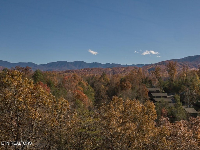 537 Johnson Ln Unit 1 & 2, Gatlinburg, TN 37738 - mountain view with a forest