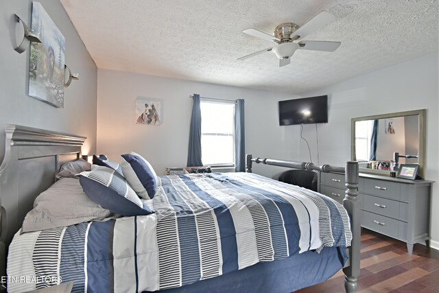805 Lake Glen Ln, Knoxville, TN 37920 - photo 17