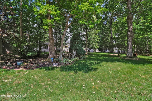 13 Lechmere Ter, Crossville, TN 38558 - photo 37