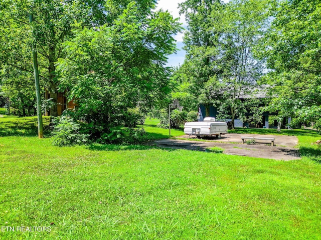 2255 Citico Rd, Vonore, TN 37885 - view of green lawn