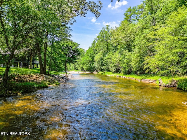 2255 Citico Rd, Vonore, TN 37885 - water view with a heavily wooded area