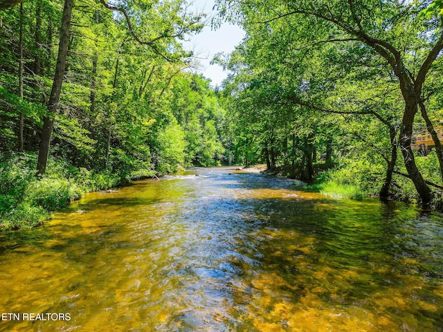 2255 Citico Rd, Vonore, TN 37885 - water view with a forest