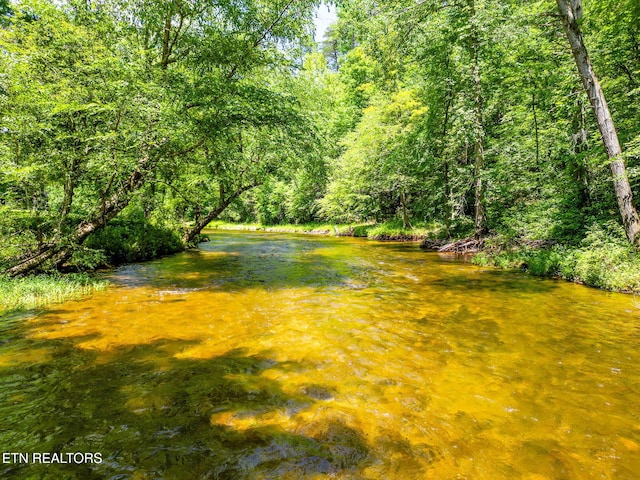 2255 Citico Rd, Vonore, TN 37885 - water view with a heavily wooded area