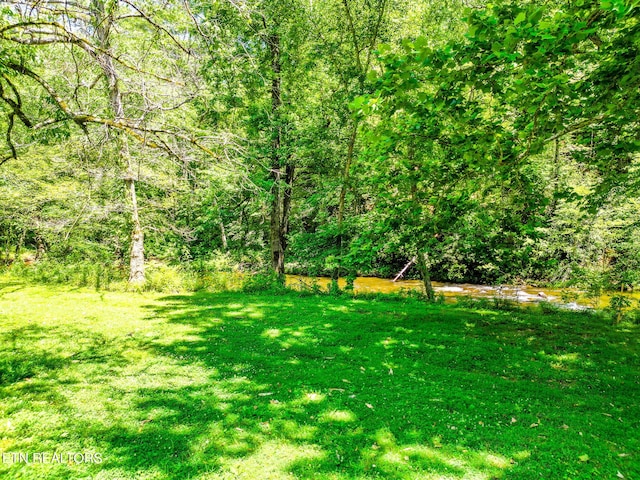 2255 Citico Rd, Vonore, TN 37885 - view of green lawn with a forest view