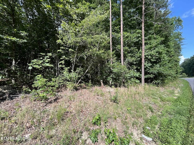 LOT4 Keylon Hollow Rd, Ten Mile, TN 37880 - photo 2