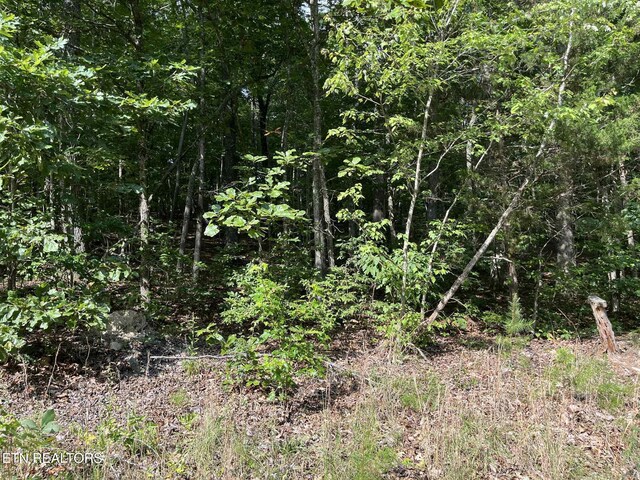 LOT4 Keylon Hollow Rd, Ten Mile, TN 37880 - photo 3