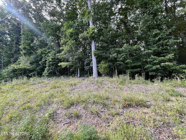 LOT4 Keylon Hollow Rd, Ten Mile, TN 37880 - photo 1