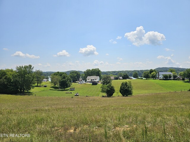 240 Sable Estates Ln, Spring City, TN 37381 - photo 2