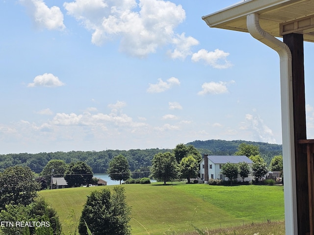 240 Sable Estates Ln, Spring City, TN 37381 - photo 18