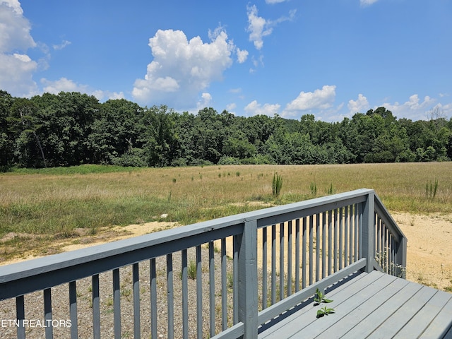 240 Sable Estates Ln, Spring City, TN 37381 - photo 20