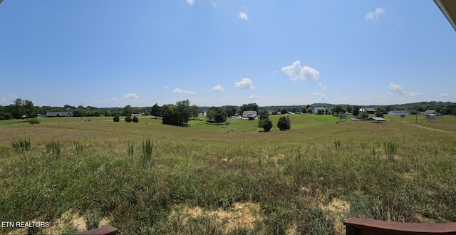 240 Sable Estates Ln, Spring City, TN 37381 - photo 3
