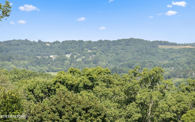 427 Harbor Town Dr, Maryville, TN 37801 - photo 18